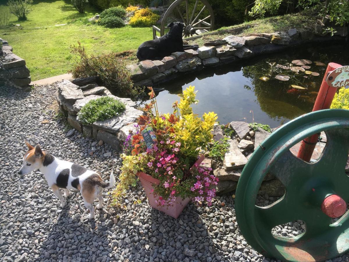 Stoke House Bed And Breakfast Stoke Rivers Buitenkant foto
